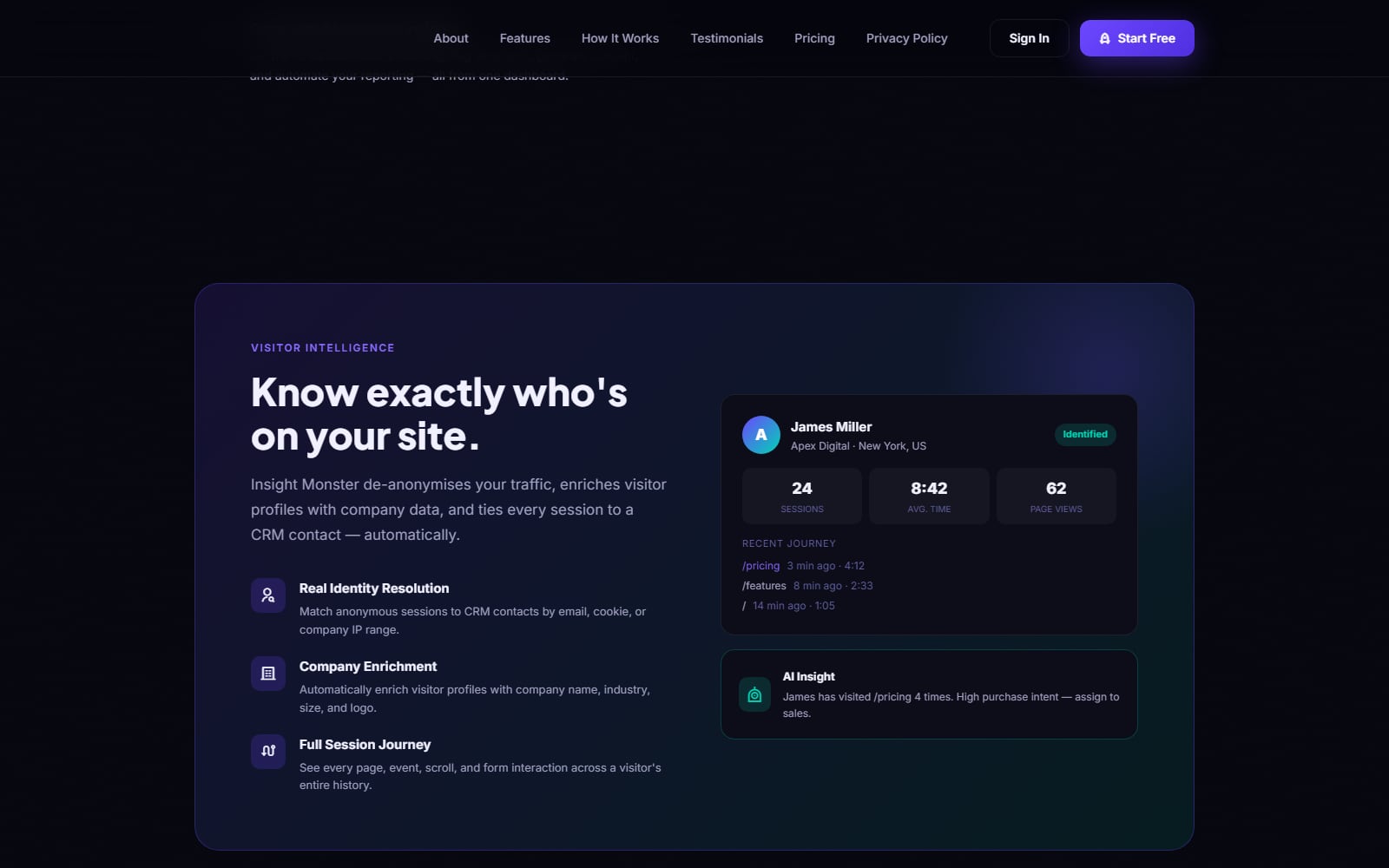Insight Monster visitor intelligence